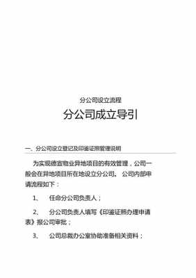 设立分公司相关流程（设立分公司相关流程怎么写）-第3张图片-祥安律法网