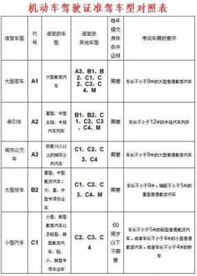 d照增驾c1流程（d照增驾c1要多少钱）-第1张图片-祥安律法网