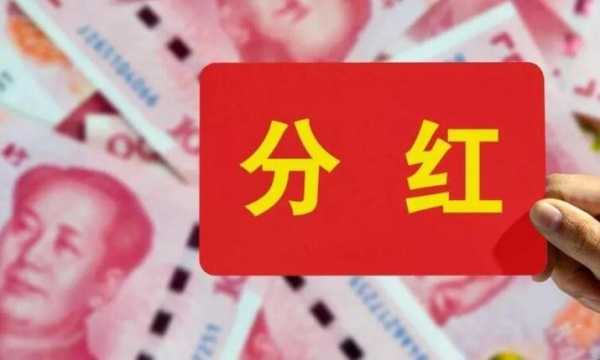 分红流程步骤（分红如何入账）-第2张图片-祥安律法网