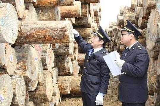 木材进口清关流程（木材进口政策）-第1张图片-祥安律法网