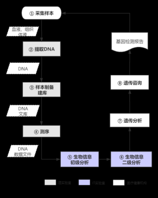 测DNA流程（dna测试怎么做）-第1张图片-祥安律法网