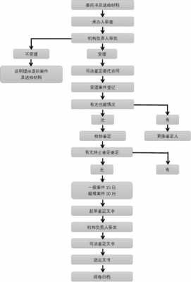 司法鉴定视力流程（司法鉴定视力流程图片）-第1张图片-祥安律法网