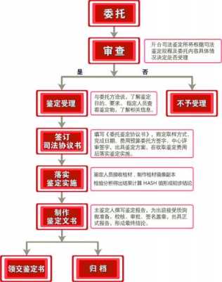 司法鉴定视力流程（司法鉴定视力流程图片）-第3张图片-祥安律法网