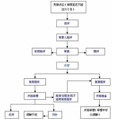 自诉庭审流程（自诉开庭要做什么准备）-第1张图片-祥安律法网