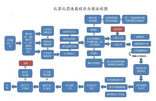 刑事速裁程序流程（刑事速裁程序是什么意思）-第2张图片-祥安律法网