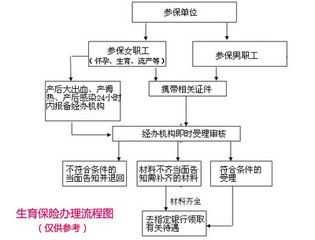 天津生育保险申请流程（天津生育险去哪开通）-第3张图片-祥安律法网