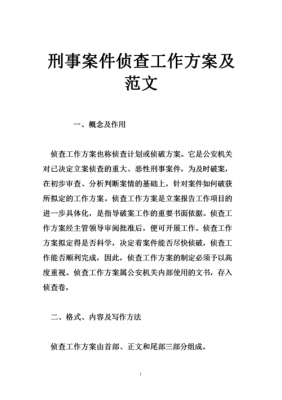 规范刑事侦查流程论文（论述刑事案件侦查的一般步骤）-第3张图片-祥安律法网