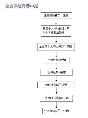 农村养保险的流程（农村怎么养老保险缴费）-第2张图片-祥安律法网