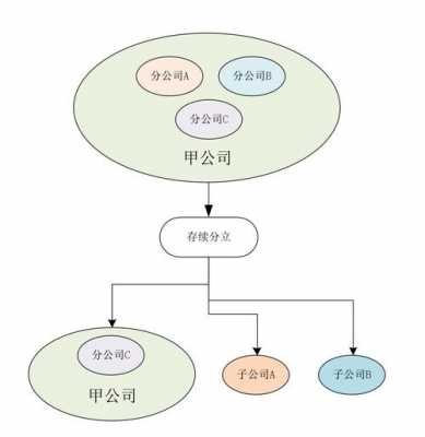 子公司成立流程（成立子公司的作用）-第3张图片-祥安律法网