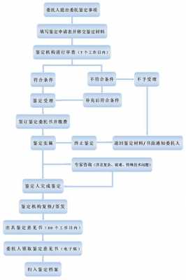 鉴定机构流程（鉴定机构鉴定流程）-第1张图片-祥安律法网