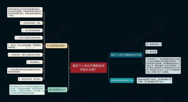 还股东借款流程（还股东借款的会计分录）-第2张图片-祥安律法网