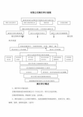 领导离职审计流程（领导离任审计的主要内容）-第2张图片-祥安律法网