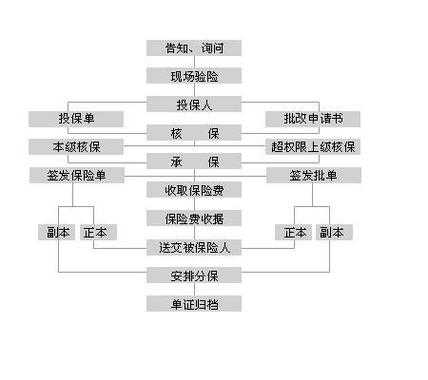 商业保险审批流程（商业保险审核一般多久放款）-第1张图片-祥安律法网