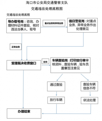 带他人处理违章流程（带别人处理违章需要带什么证件）-第2张图片-祥安律法网