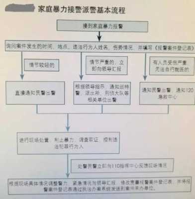 家暴报警立案流程（家暴报警立案流程图）-第2张图片-祥安律法网