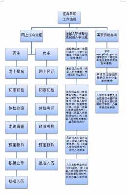 大专新生参军流程（大专怎么参军）-第1张图片-祥安律法网