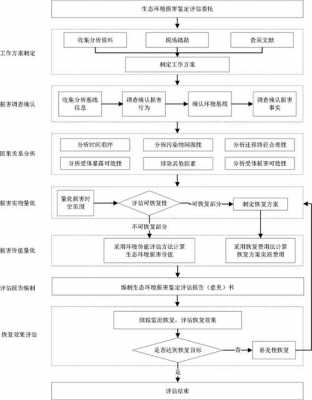 环境损害鉴定流程（环境损害鉴定流程及标准）-第1张图片-祥安律法网