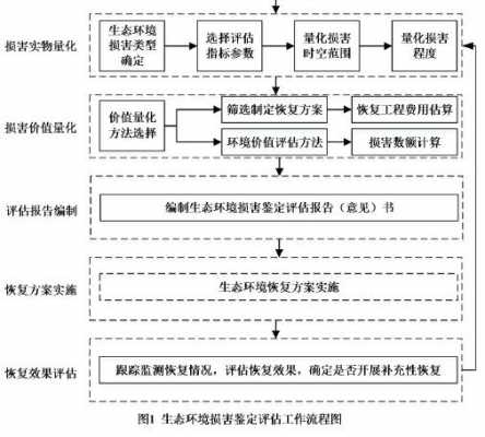 环境损害鉴定流程（环境损害鉴定流程及标准）-第3张图片-祥安律法网