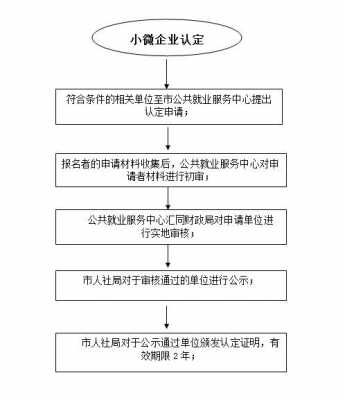 申报微企流程（申请微企需要什么条件）-第1张图片-祥安律法网