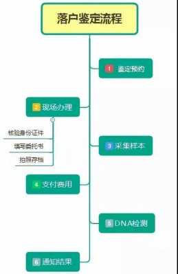 亲子鉴定的流程（做亲子鉴定需要什么材料和流程）-第2张图片-祥安律法网