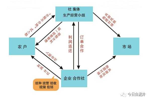 承包经营分红流程（承包经营利润如何分配）-第1张图片-祥安律法网