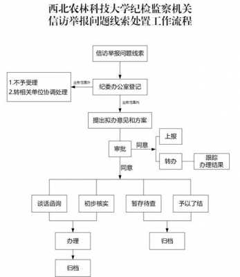 问题线索审理流程（问题线索处置全流程）-第2张图片-祥安律法网