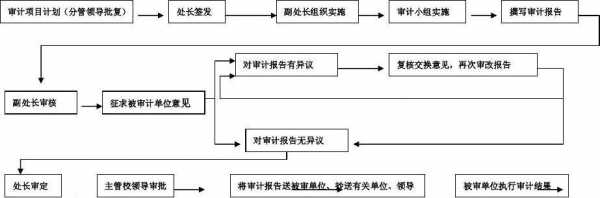 审计抽查凭证流程（审计 抽查）-第3张图片-祥安律法网