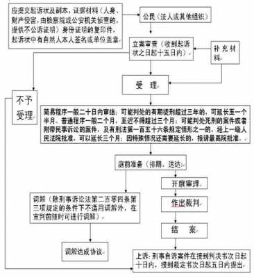 刑事自诉送达流程（刑事自诉案件适用什么程序）-第2张图片-祥安律法网