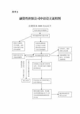 担保公司设立流程（担保公司注册条件及流程）-第3张图片-祥安律法网