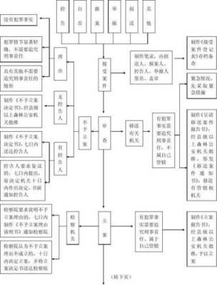 邢事案件流程（邢事案件是什么案件）-第2张图片-祥安律法网