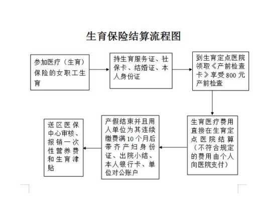 生育金办理流程（生育金办理流程图）-第1张图片-祥安律法网