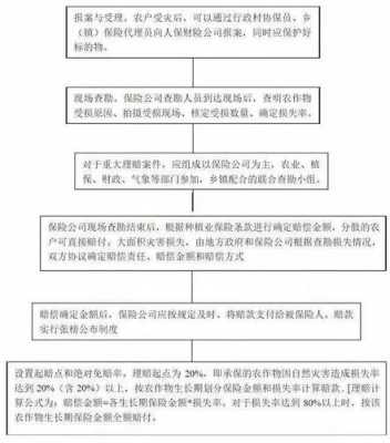 农业保险的理赔流程（农业保险的理赔流程是什么）-第2张图片-祥安律法网