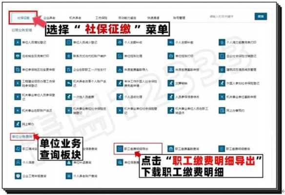 公司社保退款流程（公司社保退款什么时候到账）-第1张图片-祥安律法网