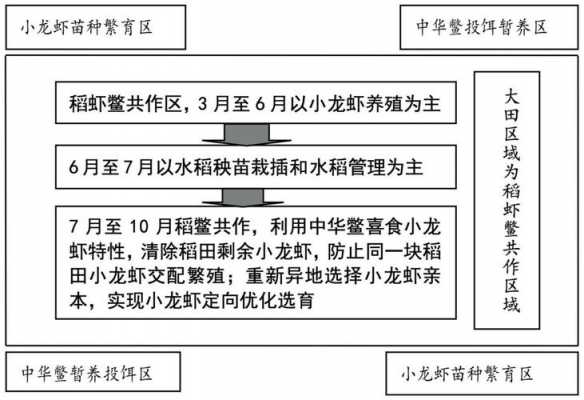 稻田养龙虾补贴流程（稻田养虾补贴政策）-第1张图片-祥安律法网