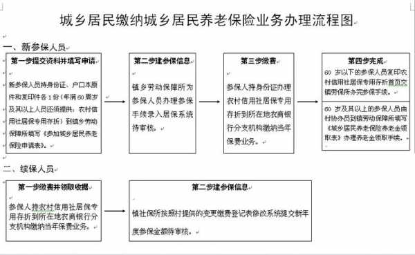 交养老保流程（交养老保险方法及流程）-第1张图片-祥安律法网