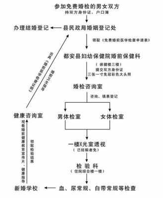 婚检免费申请流程（婚检免费申请流程图）-第1张图片-祥安律法网