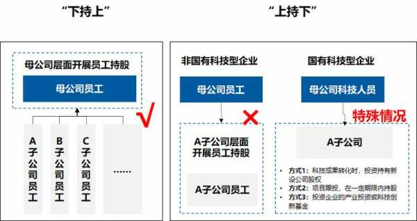 自然持股流程（自然持股流程是什么）-第2张图片-祥安律法网