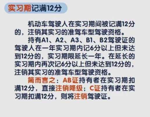 违章扣12分处理流程（违章扣12分怎么消掉）-第3张图片-祥安律法网