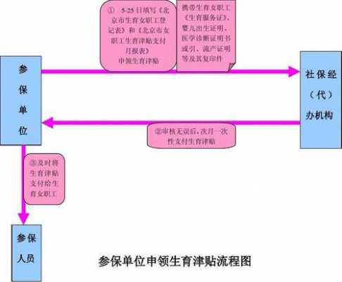 二胎生育保险办理流程（二胎生育险保险需要哪些材料）-第2张图片-祥安律法网