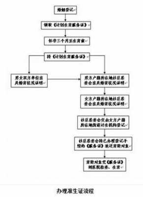 准生证办理流程2004（准生证办理流程2019）-第3张图片-祥安律法网