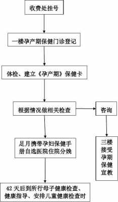 生育险产检流程（生育险产检流程是什么）-第2张图片-祥安律法网