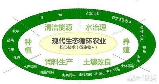 漳州农场申办流程（漳州农场申办流程及手续）-第2张图片-祥安律法网