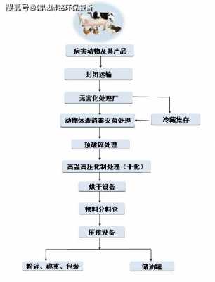 死人了流程（死人流程图）-第2张图片-祥安律法网