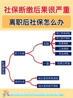 济南单位辞职流程（济南辞职后自己交社保需要什么）-第1张图片-祥安律法网