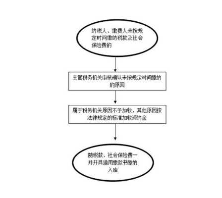 补缴税务流程（税务补缴税款）-第3张图片-祥安律法网