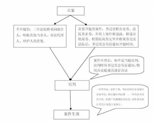 刑事诉讼二审流程图（刑事案件二审流程图）-第2张图片-祥安律法网