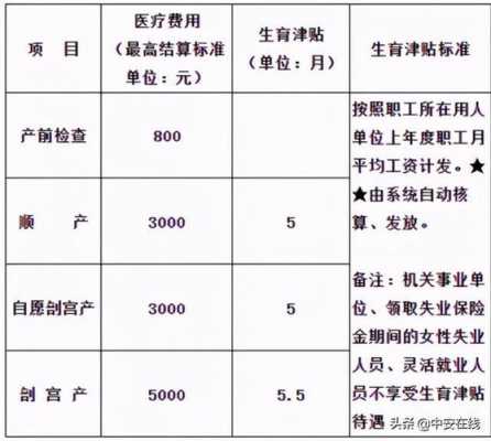 合肥市怀孕流程（合肥怀孕需要办哪些证件）-第2张图片-祥安律法网