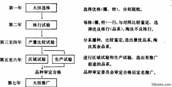 品种选定流程（品种选择）-第3张图片-祥安律法网