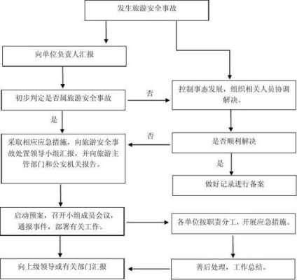 安全事故的处理流程图（安全事故处理流程图模板）-第2张图片-祥安律法网