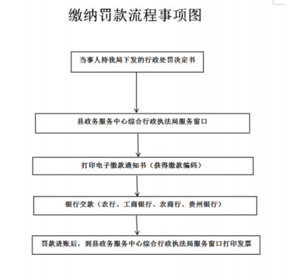 缴纳行政罚款流程（如何缴纳行政罚款）-第2张图片-祥安律法网